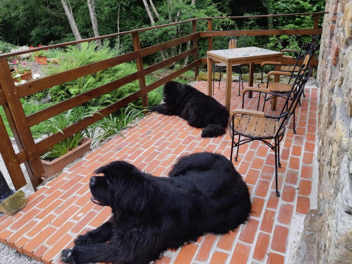 Posada Pet Friendly El Molino De Cantabria Entrambasaguas (Entrambasaguas) Exterior foto