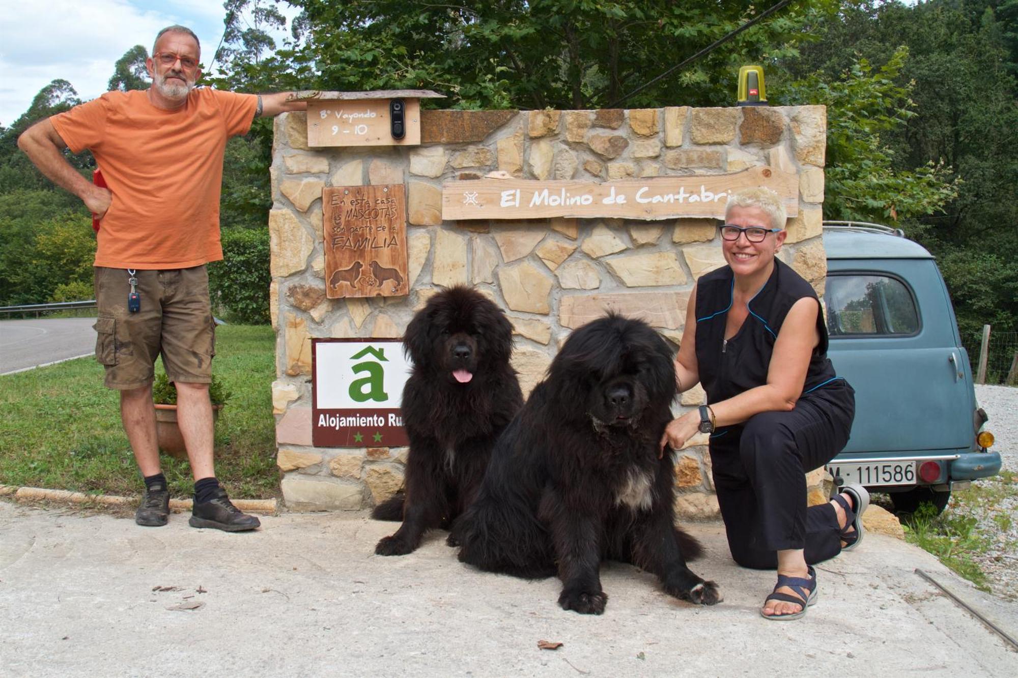 Posada Pet Friendly El Molino De Cantabria Entrambasaguas (Entrambasaguas) Exterior foto